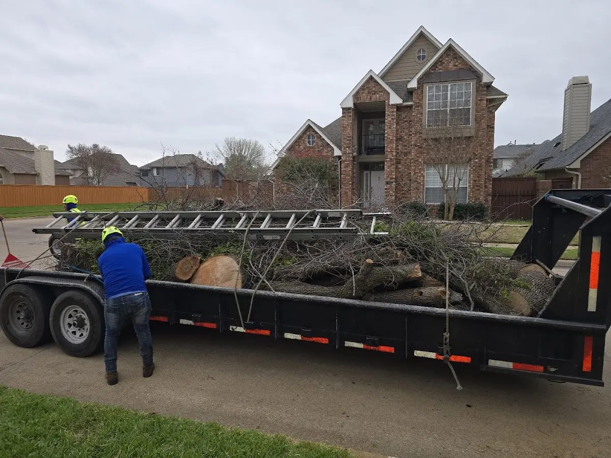 Expert Tree Pest Control with proper safety equipment in Hawthorne